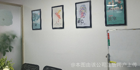 貓頭鷹網絡科技 洞察黑夜，引領未來